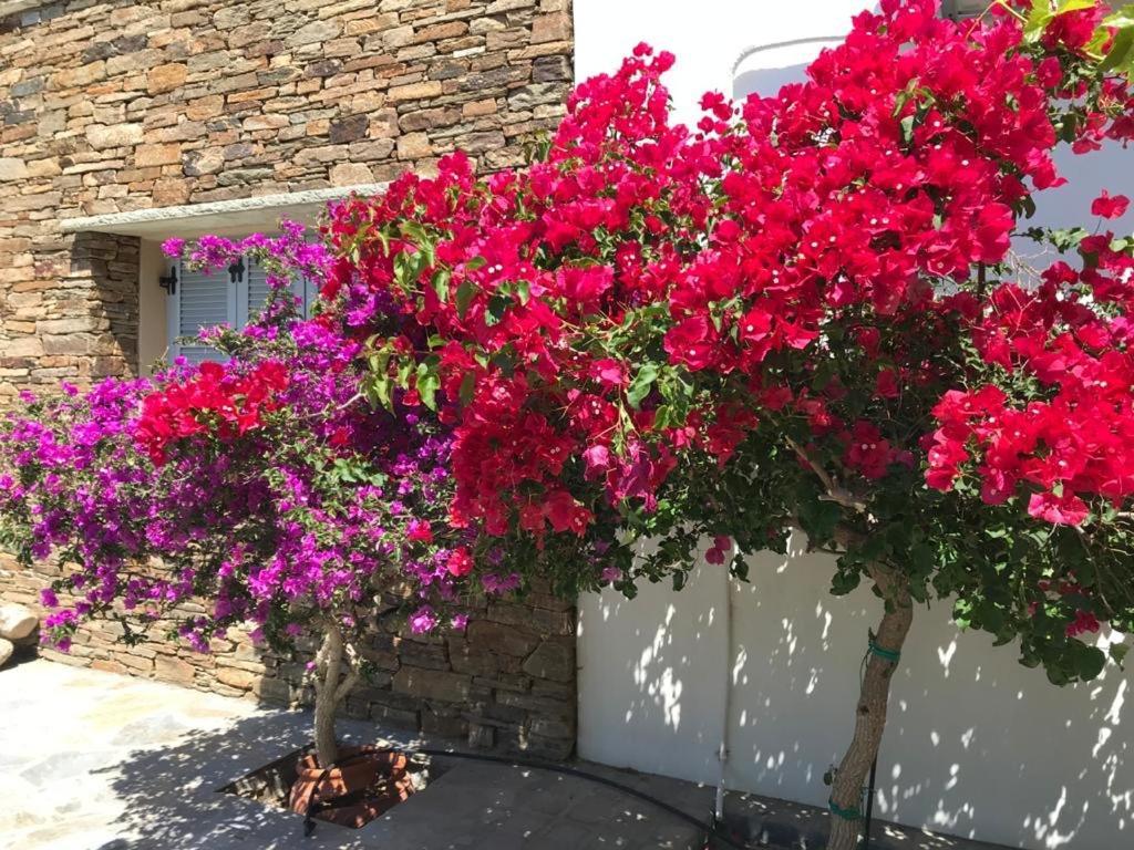 Oikia Petra Villa Agios Ioannis  Bagian luar foto